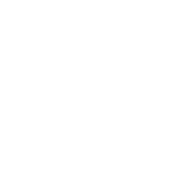 Cicatriz rosto white