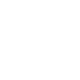 Gordura localizada white