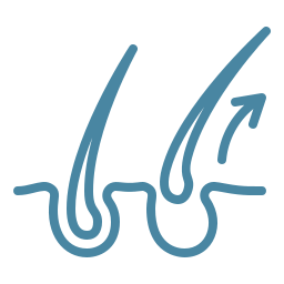 Perda de cabelo color