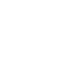 Perda de cabelo white